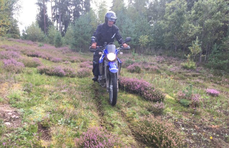 MOBILBILDER-127-scaled-e1614285797381